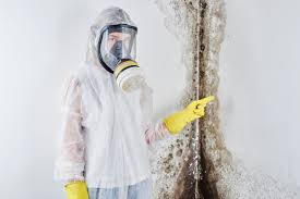 Best Emergency Mold Remediation in Green Meadows, OH